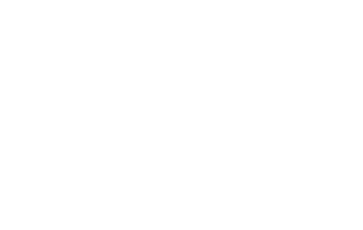 Logo BIA20